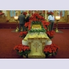 Poinsettias arranged by Mary Ann S. and Betty H.