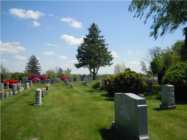 Photo 6 from Cemetery on St. Thomas Sunday