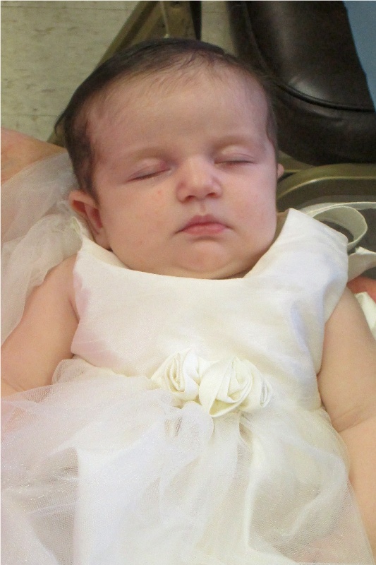 Photo 16 from Welcome Little Zenia