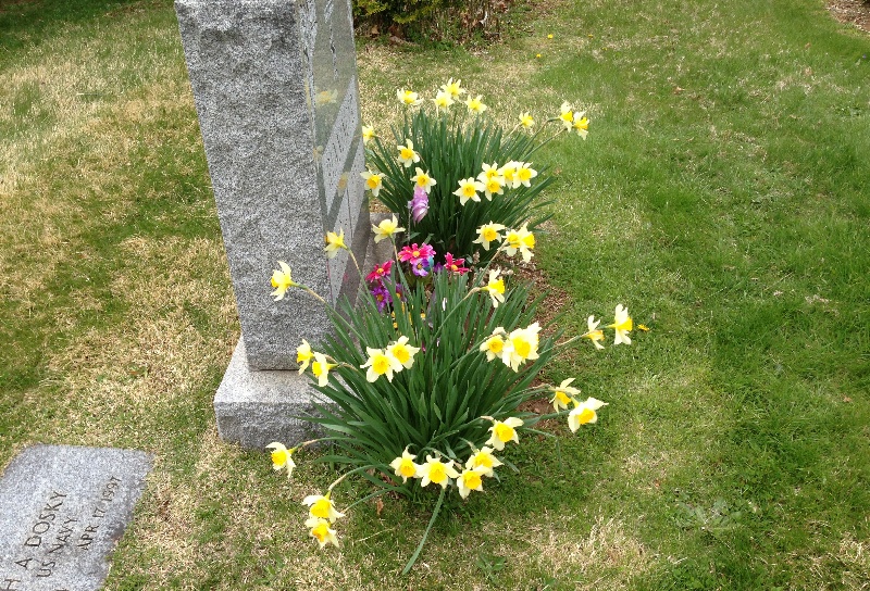 Photo 10 from St. Thomas Sunday