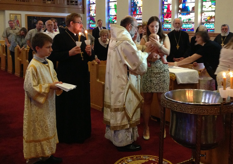 Photo 11 from Welcome to Little Sofia