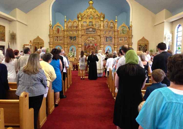 Photo 5 from Welcome to Little Sofia