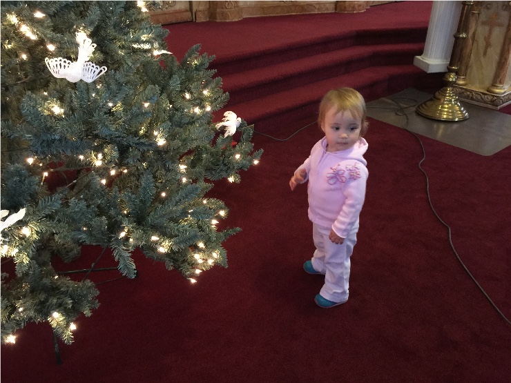Photo 15 from Decorating the Church for the Nativity of Our Lord and Savior