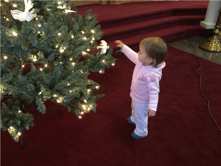 Photo 16 from Decorating the Church for the Nativity of Our Lord and Savior