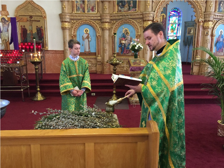 Photo 1 from Palm Sunday Pictures