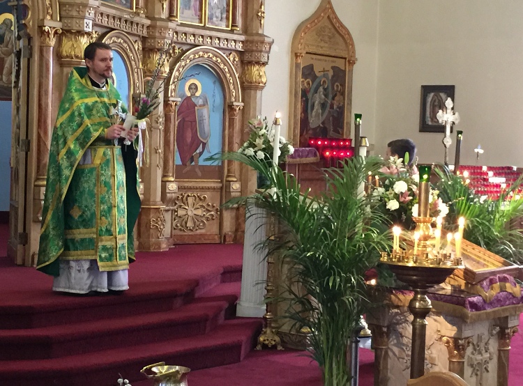 Photo 6 from Palm Sunday Pictures