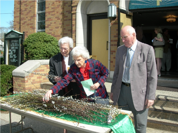 Photo 18 from Good bye Liz Hatsko